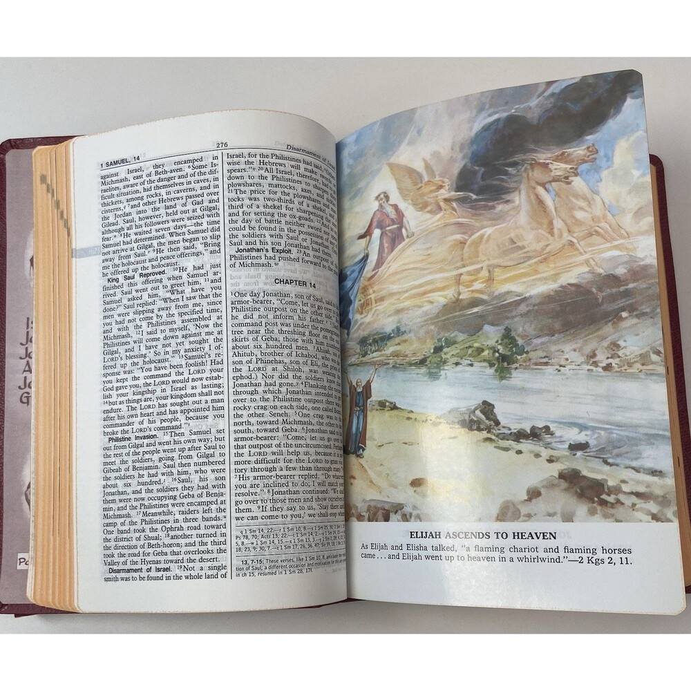 New American Bible Saint Joseph Ed Red + New Testament Translation Book Catholic - Picture 14 of 16